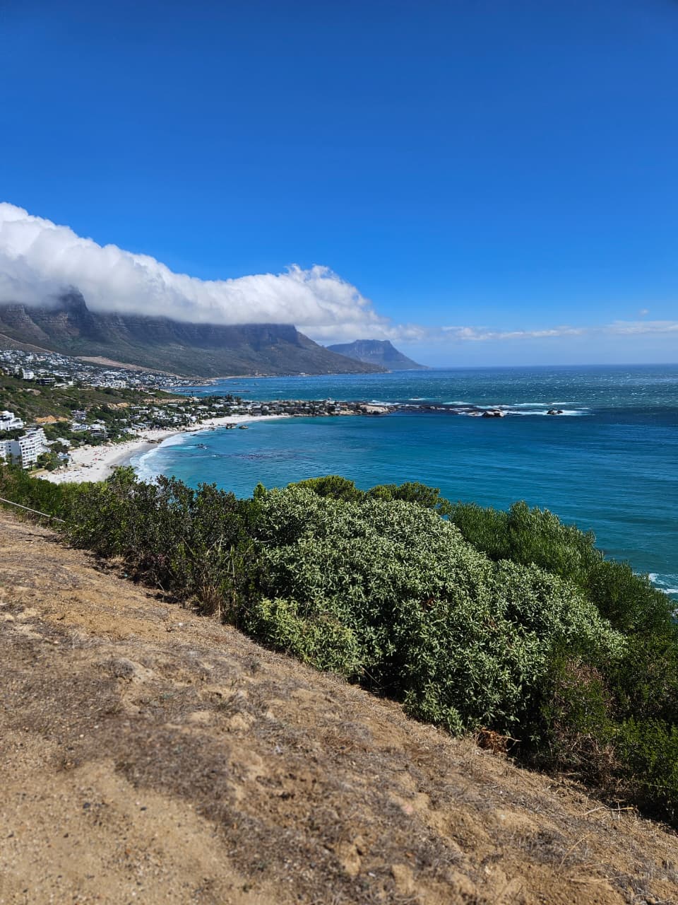Camps Bay bay and coastline from above